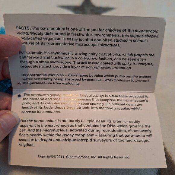 New! Giant Microbes Paramecium Plush Scientific‎ Learning Toy - Picture 5 of 9